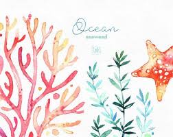 Ocean Seaweed Underwater Watercolor Clip Art Water Plants Seaware Fishes Starfish Sea Nautical Undersea Aquarium Babyshower Alga Watercolor Clipart Watercolor Water Plants