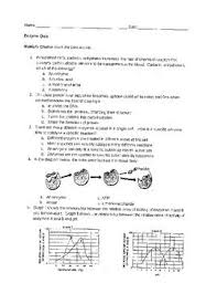 Enzyme Quiz Enzymes Quiz Graphing