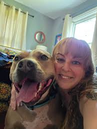 Pitbull having fun at home with toys