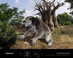 Megaladapis Prehistoric Animals Extinct Animals Giant Animals