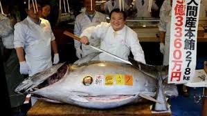 Maybe you would like to learn more about one of these? Demi Tuna Ini Cerita Susi Tolak Beri Izin Kapal Jepang