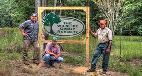 The tree produces a large amount of mast edible by humans and wildlife. The Wildlife Group Fruit Trees And Select Hardwoods For Deer Food Plots And Wildlife Management Fruit Trees And Hardwoods For Deer Food Plots