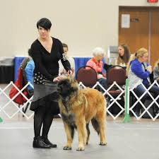 The search tool above returns a list of breeders located nearest to the zip or postal code you enter. Puppies Earhart Leonbergers