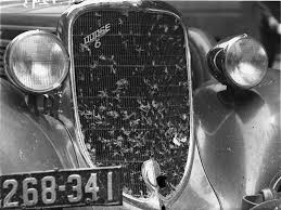 Image result for Black 1934 Dodge