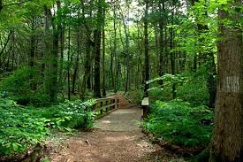 Maybe you would like to learn more about one of these? Nature Preserves Plant Something Long Island Live Better Grow Better