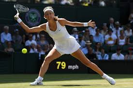 Victoria azarenka husband and son. Victoria Azarenka Pulls Out Of U S Open Over Custody Dispute The New York Times