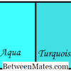  Https Encrypted Tbn0 Gstatic Com Images Q Tbn And9gcrwwnel3iijhveejwkza5uiy3wma5mq91xb4jzoyxjqahbpxqds Usqp Cau