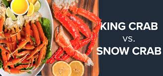 From here, different types of crabs are divided into different infraorders, but they all share the. Differences Between Snow Crab Vs King Crab Maine Lobster Now