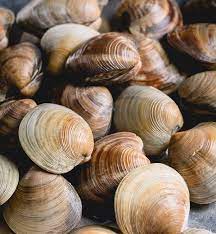 Maybe you would like to learn more about one of these? How To Clean Little Neck Clams Sweet Savory