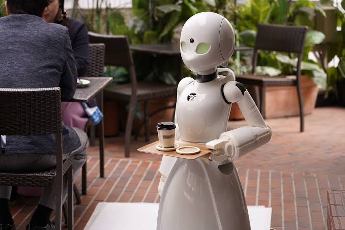 robot waiter