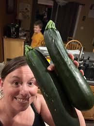 Harvesting garden cucumbers and summer squash