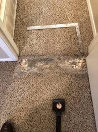 Maybe you would like to learn more about one of these? Carpet Stretching Carpet Repair Expert