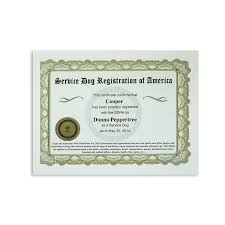 Buy Ultimate Service Dog All Access Vip Kit Online Sdra Service Dogs Service Dog Training Service Dog Vests