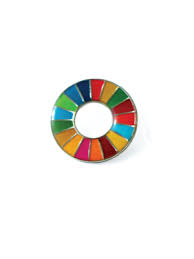 SDG Wheel Lapel Pin | Shop.un.org