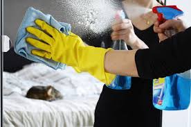 Bonus da 600 euro lordo a 478 euro: Calcolo Stipendio Da Pagare A Colf Netto E Lordo Contratto Regolare Esempi Businessonline It