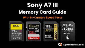 User rating, 4.9 out of 5 stars with 1646 reviews. Best Sony A7iii Memory Cards Tested Alphashooters Com