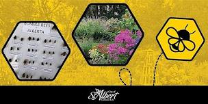 Native Pollinator 101 & Walk
