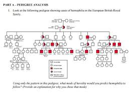 solved look at the following pedigree showing cases of he