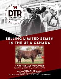 2021 Shorthorn Country July by SCI