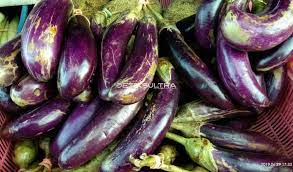 Mewarnai gambar buah buahan dan sayuran warna buku mewarnai. Emak Emak Kaget Harga Terong Ungu Melonjak