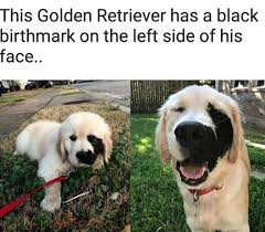 I Want Him Cute Animals Cute Baby Animals Animals Beautiful