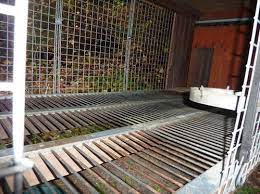 Went to rural king and picked up a roll of rubber floor mat material for our new dog kennel. Dog Kennel Flooring Ideas Design Ideas For Home