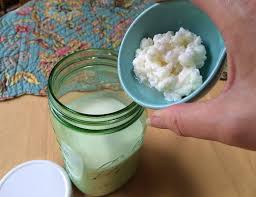 Pin On Kefir