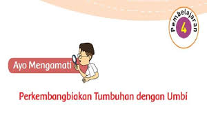 Kunci Jawaban Buku Tematik Kelas 3 Sd Tema 1 Halaman 168 169 172 Subtema 4 Pembelajaran 4 Tribun Padang