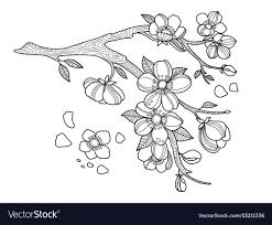 Maybe you would like to learn more about one of these? Cherry Blossom Coloring Pages