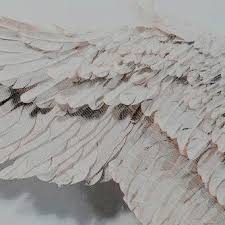 Online Fotobearbeitung Bearbeite Deine Fotos Bilder Und Aufnahmen Online Und Kostenlos Angel Aesthetic White Aesthetic Greek Gods
