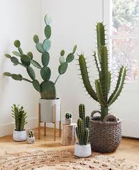 30 Best Creative Cactus Decorations To Beautify Your Home Cactus Plants Cactus House Plants House Plants Decor