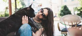 Would you like to make new memories, visit interesting places, try delicious food and bring your. 10 Dog Friendly Vacation Destinations On The East Coast