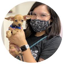 My dog needed his vaccines updated and i didn't really want to pay extra for an office visit ($50++). Op3t1cjafuarsm