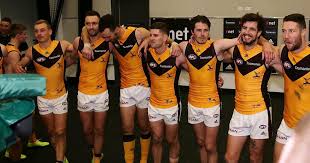 A spokesperson for the western bulldogs said the jumper, which will, unfortunately, be worn for real in round one, was a shameless cash grab and had netted the club $17. Hawks To Don Legends Guernsey In Round 4