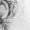 See more ideas about black aesthetic, black and white aesthetic, dark aesthetic. Https Encrypted Tbn0 Gstatic Com Images Q Tbn And9gcqtzsqevflro5perxn1yu5bnynxnsagorlw5cjd O1kl2msnu3z Usqp Cau