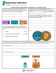 The only way to explain how their son could be lactose intolerant is if both parents are heterozygous. 29 Amoeba Sisters Handouts Ideas Handouts Sisters Answer Keys