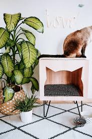 Ein hund braucht nicht nur ein liebes zuhause, er braucht auch einen platz, an dem er 3rustikales hundebett aus holz. Diy Anleitung Zum Katzenkratzmobel Mit Hohle Selber Bauen