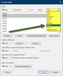 Microsoft Project Calculate Days Between Two Custom Dates