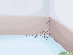 Kucuk Karincalardan Nasil Kurtulunur Resimlerle Wikihow