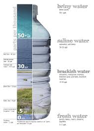 saline water wikipedia