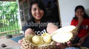 Bln des kemarin kami lagi pulkam. Durian Jombang Potensikah Kabar Jombang