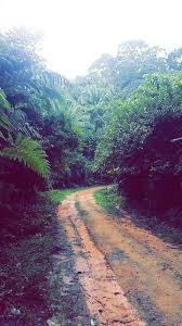 Parque De Capiro Y Calentura Trujillo Colon Honduras Lugares Hermosos Parques Nacionales America Central