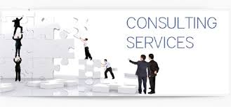 Business Consultant In India Consulting Business Business Performance Business Advice