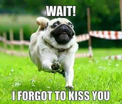 Love Memes Funny I Love You Memes For Her And Him