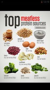 10 Meatless Protien Vegetarian Protein Sources Health Food Healthy Eating