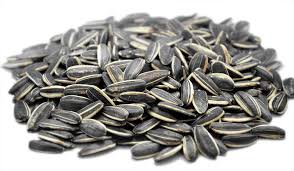 However, growing them from seeds is more common. Grow Your Own Giant Hoselink