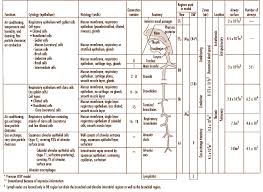 respiratory histology chart respiratory system health