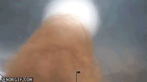 /r/memegifs, a community for meme gifs. That S Closer To A Tornado Than I D Ever Want To Be Senor Gif Pronounced Gif Or Jif