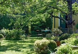 Pflanzen, die giftig sind, üben durch ihre farben, den blütenschmuck, ihre wuchsform oder ihren geruch eine besondere faszination auf gärtner, spaziergänger und pflanzenfreude aus. Baume Im Garten Planen In 4 Schritten Obi Ratgeber