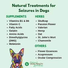 Home Treatments For Canine Seizures Natural Dog Remedies Epilepsy In Dogs Dog Remedies
